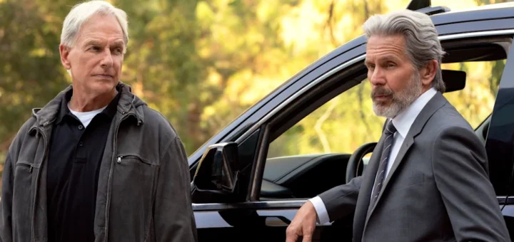 Fans were ecstatic to learn that NCIS had been renewed for season 24 on CBS