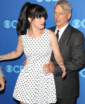 The Future of the NCIS Franchise Has Been Confirmed by CBS